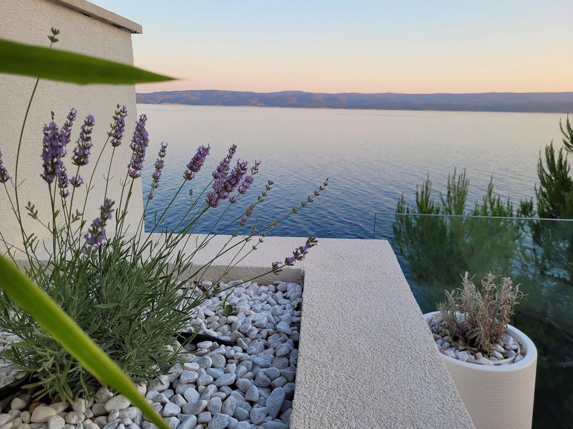 Luxury Apartments Villa Opera Marusici  Exterior foto
